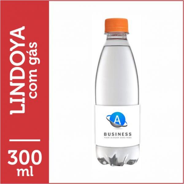 Lindoya 300 ml com gás - Garrafa PET · rótulo vinil adesivo