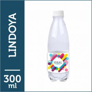 ÁGUA MINERAL PERSONALIZADA LINDOYA 300ML sem gás Garrafa Pet   Rótulo vinil adesivo  